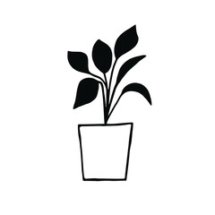Houseplant in a pot. Doodle style. Hand drawn vector illustration in black ink isolated on white background.