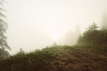Obraz na płótnie Canvas Foggy morning landscape