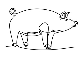 Pig in one continuous line