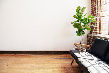 Empty wall in minimalistic room