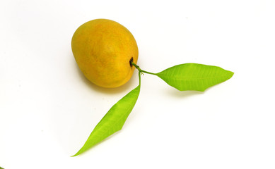 Alphonso Mango with leaves
