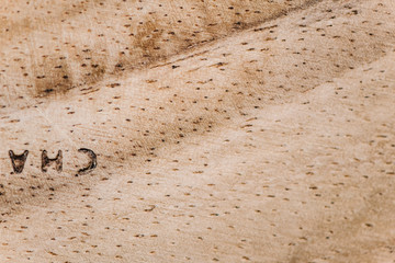 Wooden plank close up