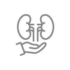 Kidneys on hand line icon. Human organ treatment, disease prevention symbol