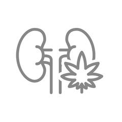 Human kidneys with marijuana leaf line icon. Cannabis treatment, anesthesia symbol