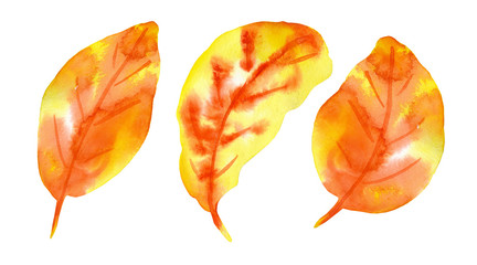 Set of three beautiful watercolor leaves. Autumn foliage, stylish paint blurs, bright and clear colors of red, yellow, blue and green. Perfect for design, decoration, stickers, greeting cards. 
