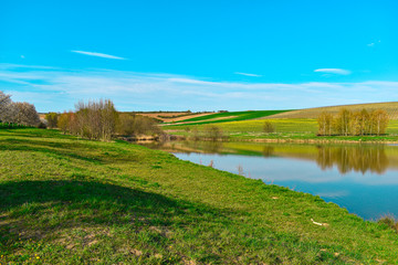 Spring walk around the lake in the sunshine.