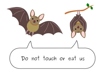 do not eat or touch bats