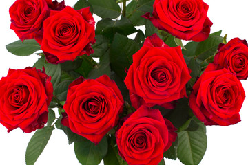 Rose flower bouquet in a vase isolated