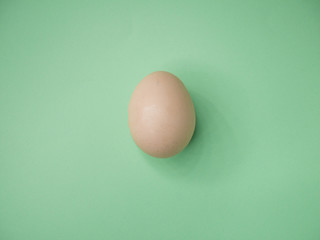White close up egg isolated on green paper background. Minimalism concept. Top view.