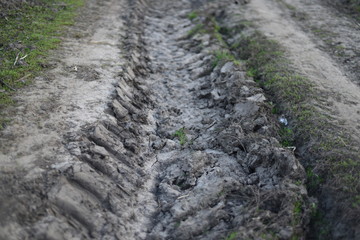 paved country road in the field