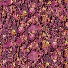 Seamless pink rose flowers texture