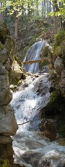 Frühling pur in der Wolfsschlucht