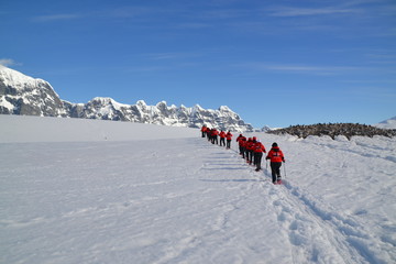 Viaje expedicion Antartida