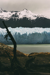 patagonia