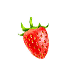watercolor berry of strawberry