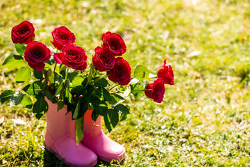 Cute pink baby girl rain boots holding red roses as a sweet gift from daughter to her mummy. Daughter gives gift to her mother on Mother's Day. Mother's day background. Sunny warm spring day in garden