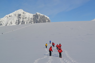 Viaje-Expedición Antartida