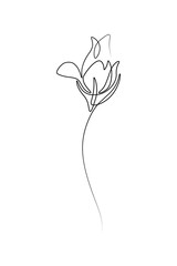 Abstract flower bud in continuous line art drawing style. Minimalist black linear sketch isolated on white background. Vector illustration