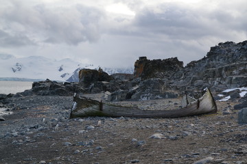 Fototapeta premium Wyprawa na Antarktydę