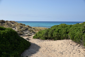 Dunes, Mallorca © Vassili