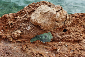 Egypt beautiful sea coast original