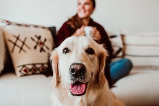 .Relaxed woman during snack having hot tea at home. Accompanied by her adorable dog during the quarantine period caused by the pandemic. Lifestyle