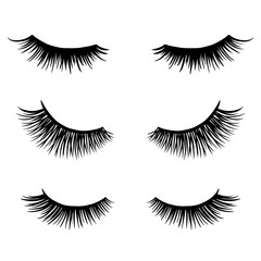 Long black lashes vector set. Different types Beautiful Eyelashes