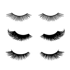 Long black lashes vector set. Different types Beautiful Eyelashes