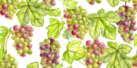 Fotobehang Aquarel fruit groene druif tekening in aquarel
