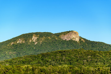 Fototapeta na wymiar large white stone hill surrounded by green rainforest under a blue sky