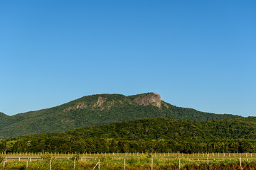 large white stone hill surrounded by green rainforest under a blue sky - 340933343