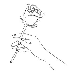 Obraz premium rose in hand