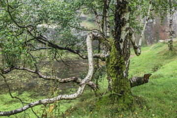 Fototapeta premium Bolehill Quarry in the Peak District. 
