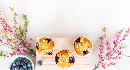 Delicious fresh muffins with blueberries. Close-up flat lay. Spring light still life with sprigs of pink flowers. Beautiful screensaver of sweet food with copy space.