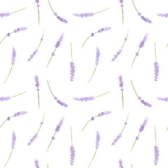 Lavender Seamless Pattern