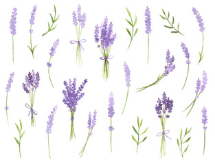 Watercolor Lavender Sprigs Set - obrazy, fototapety, plakaty
