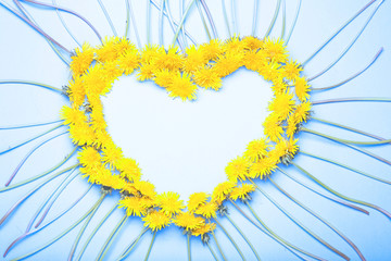Tło - serce z żółtych kwiatów - obrazy, fototapety, plakaty