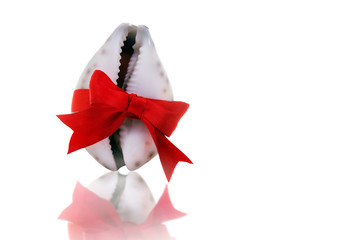 A seashell in the shape of a vagina tied with a red bow. The concept of female health and beauty.