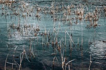 reflection in the water