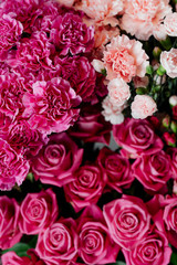 Beautiful pink flowers
