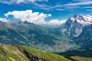 Fototapeta na wymiar Switzerland, Panoramic view on Grindelwald valley and Wetterhorn and green Alps around