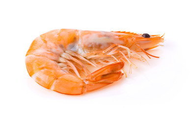 Cooked shrimps isolated on white background