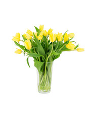 Yellow tulips in a vase 