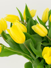 Obraz premium Yellow tulips in a vase 