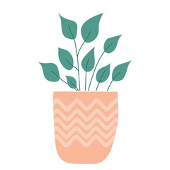 Cute and modern hand drawn plant in pot. - isolated vector