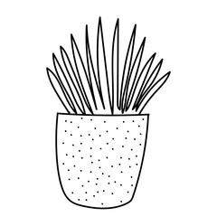 Cute and modern hand drawn plant in pot. - isolated vector