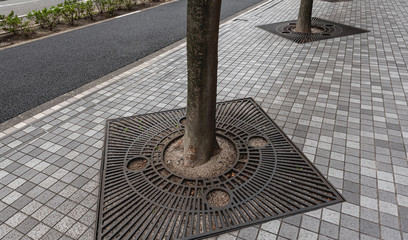 Round metal tree grate around the trunk on the city sidewalk.