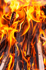 Fiery background, texture, fire closeup