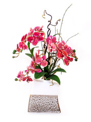 Pink flowers bouquet adorned in terracotta vase isolated on white background.