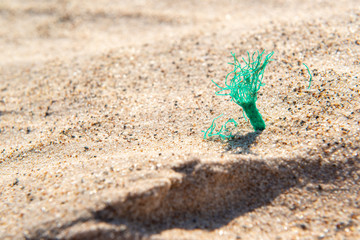 Piece of plastic rope in the sand, causing pollution at Poço beach, near the city of João Pessoa, Paraíba, Brazil on September 29, 2012